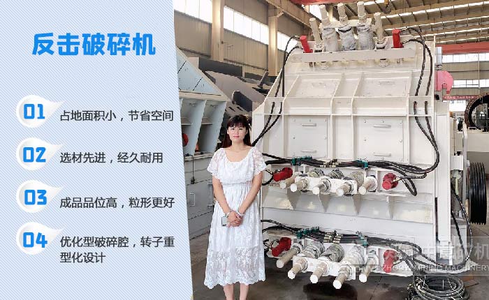 石灰石处置设备